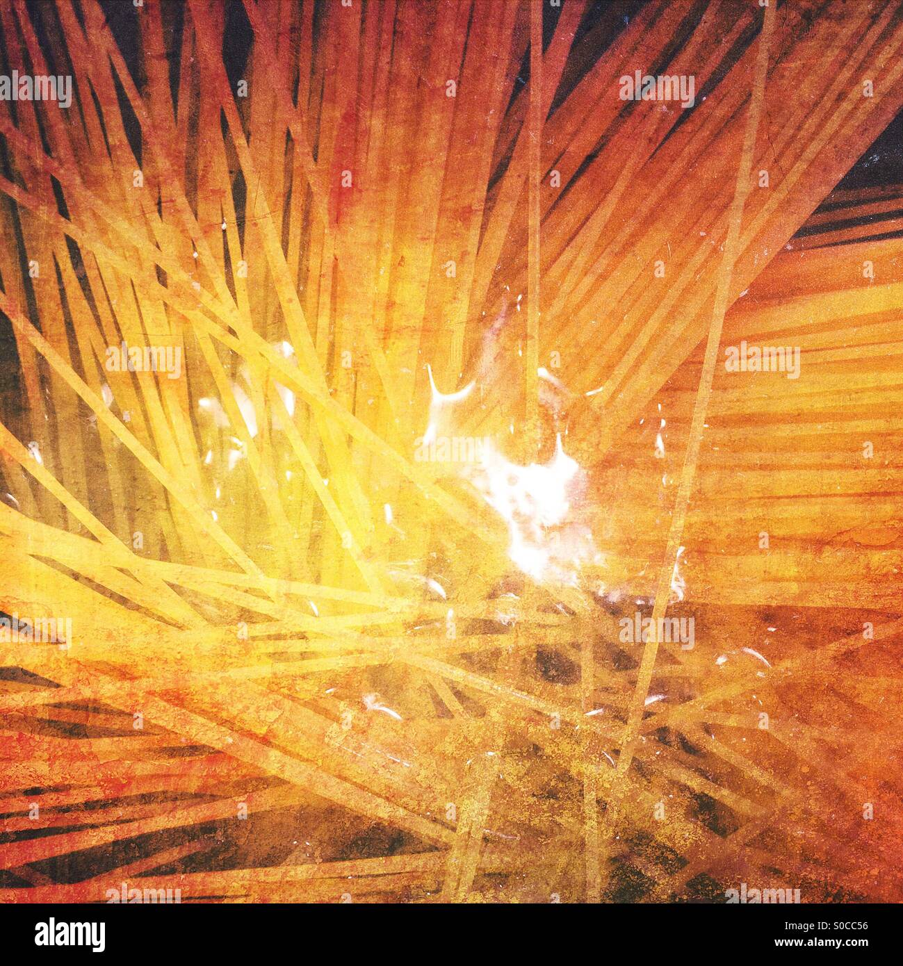 Spaghetti starting to cook. - Smartphone Captured Stock Image