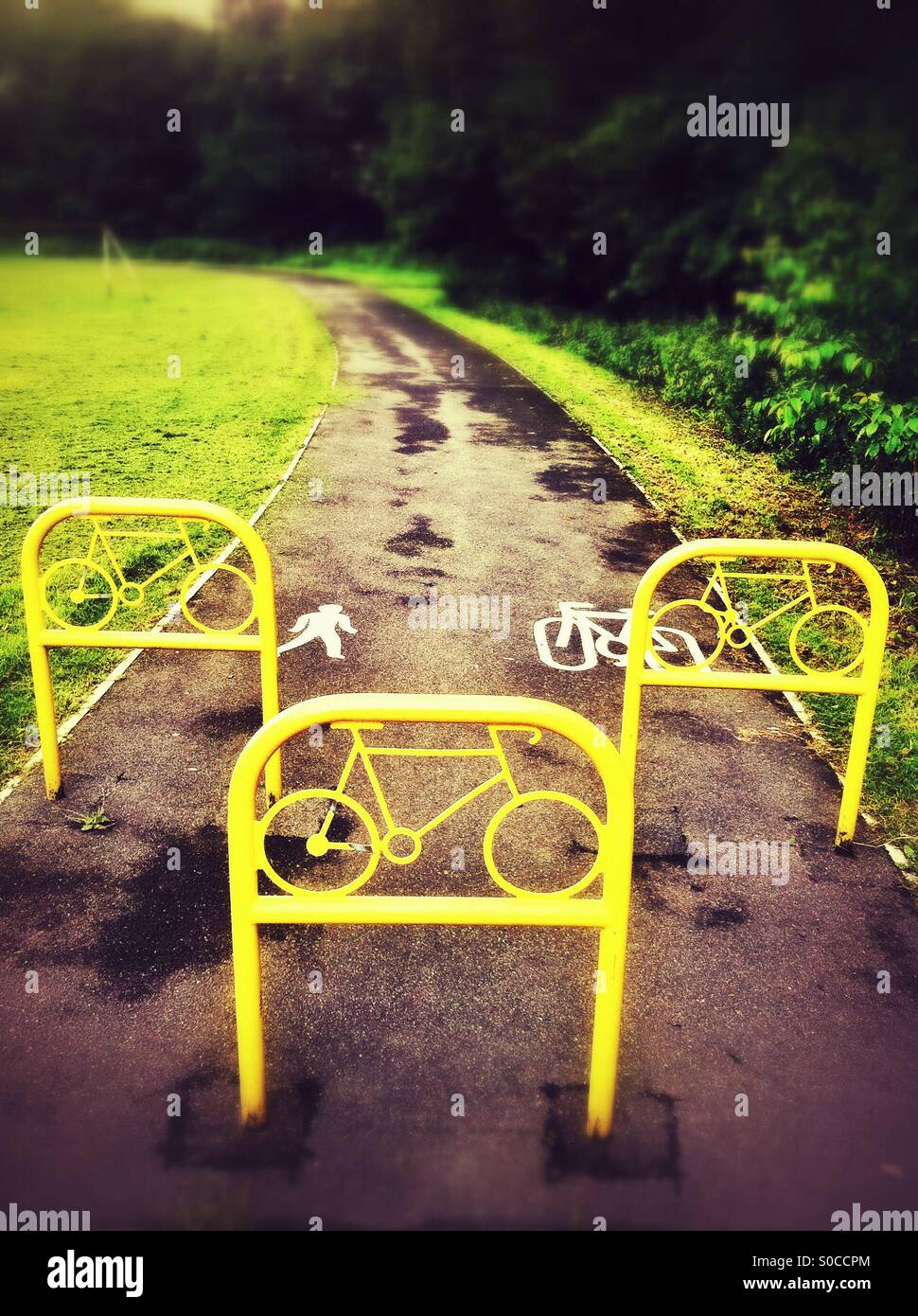 north park cycle
