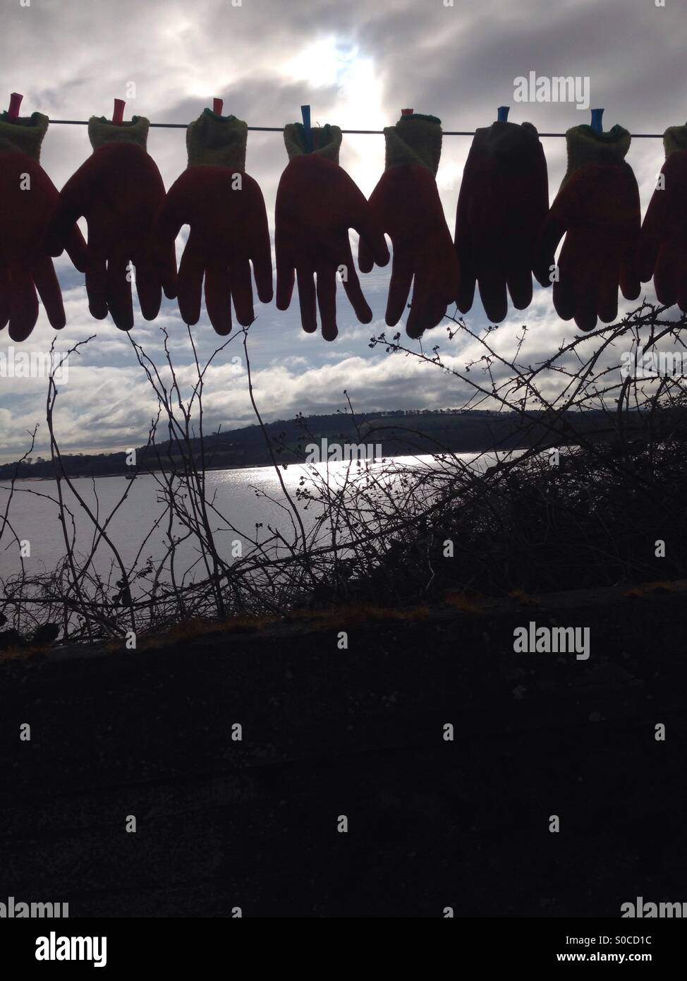 Glove silhouette during the solar eclipse. - Smartphone Captured Stock Image