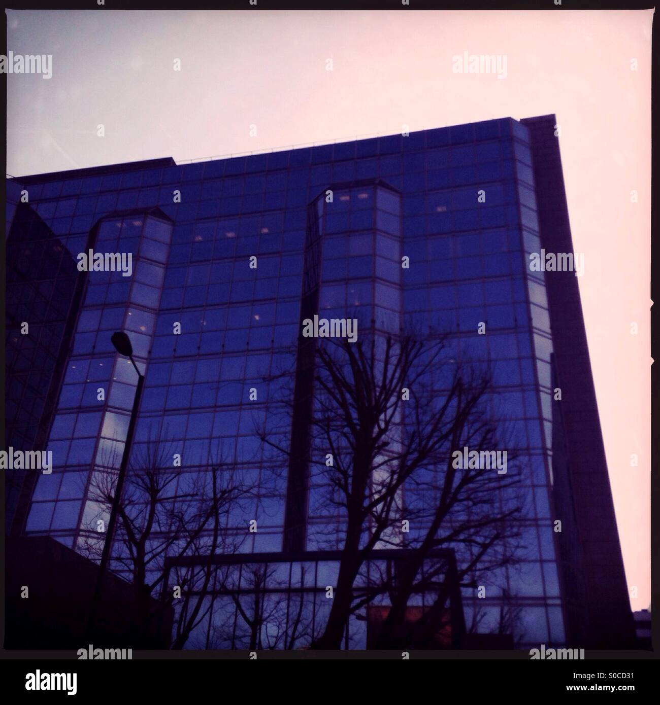 Modern office building with mirrored windows. Trees silhouetted in front of building Stock Photo