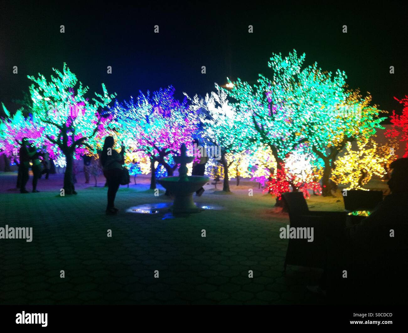 Trees lights in Kuwait Stock Photo