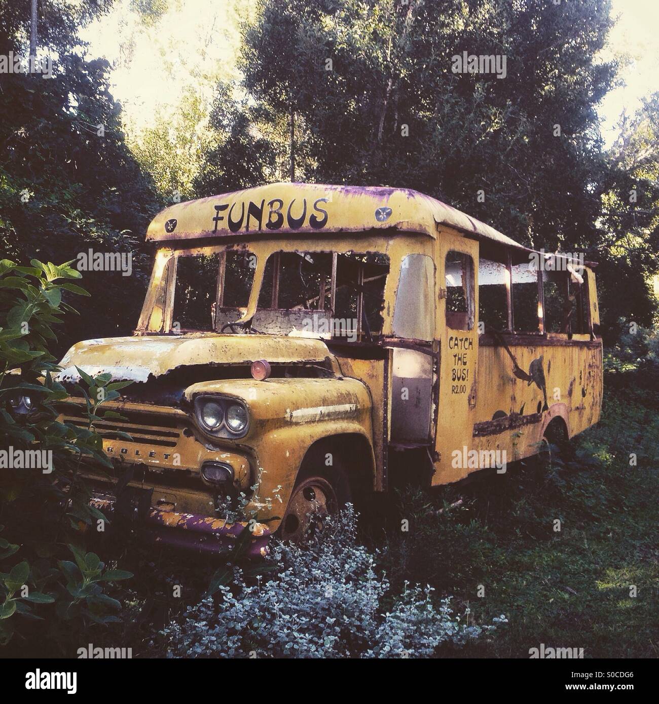 Abandoned old yellow bus Stock Photo - Alamy