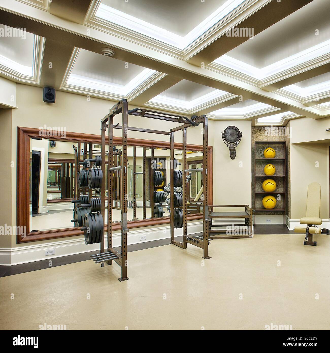 Luxury home gym Stock Photo Alamy