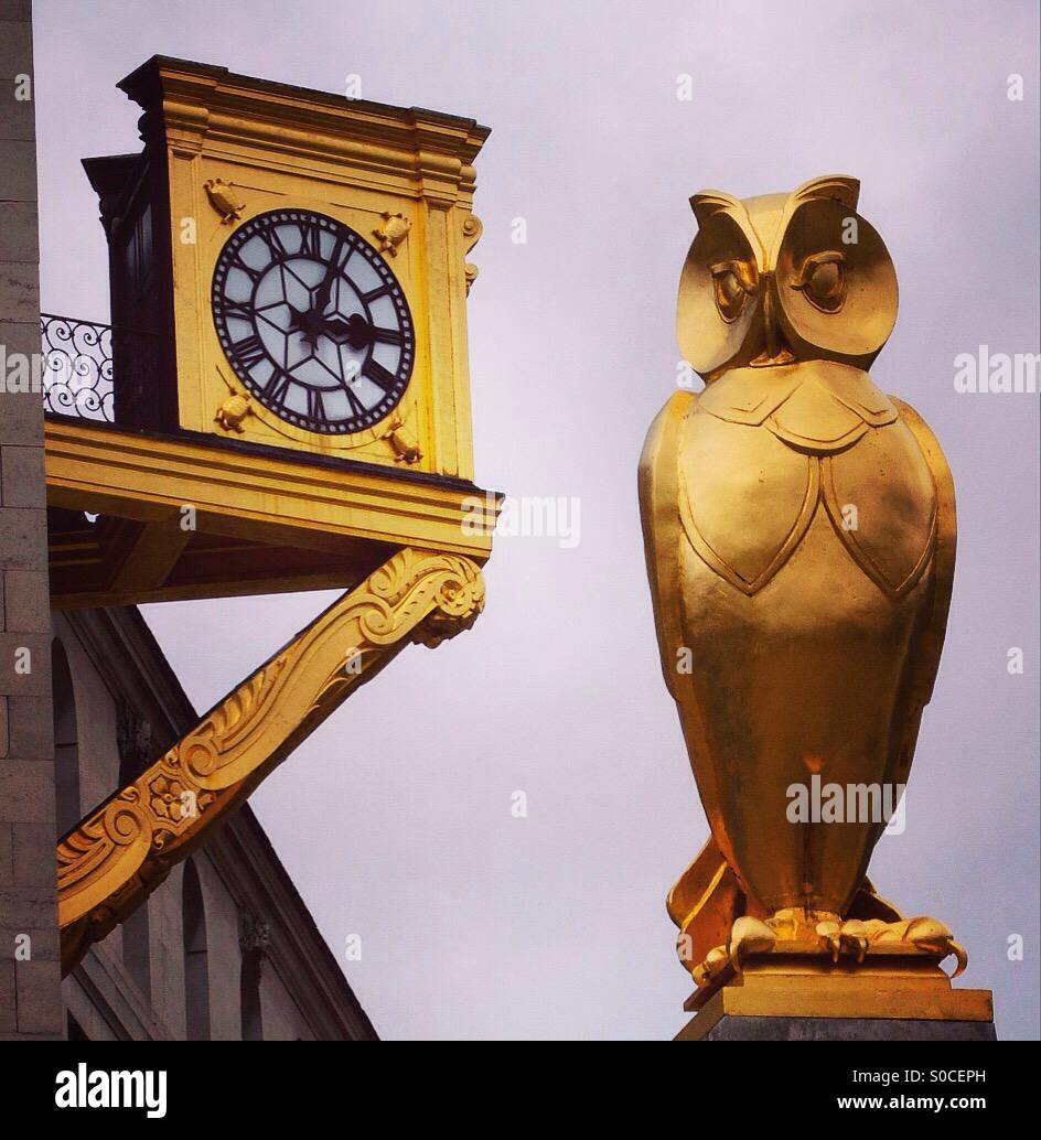 golden owl and clock, outside Leeds Civic hall. - Smartphone Captured Stock Image