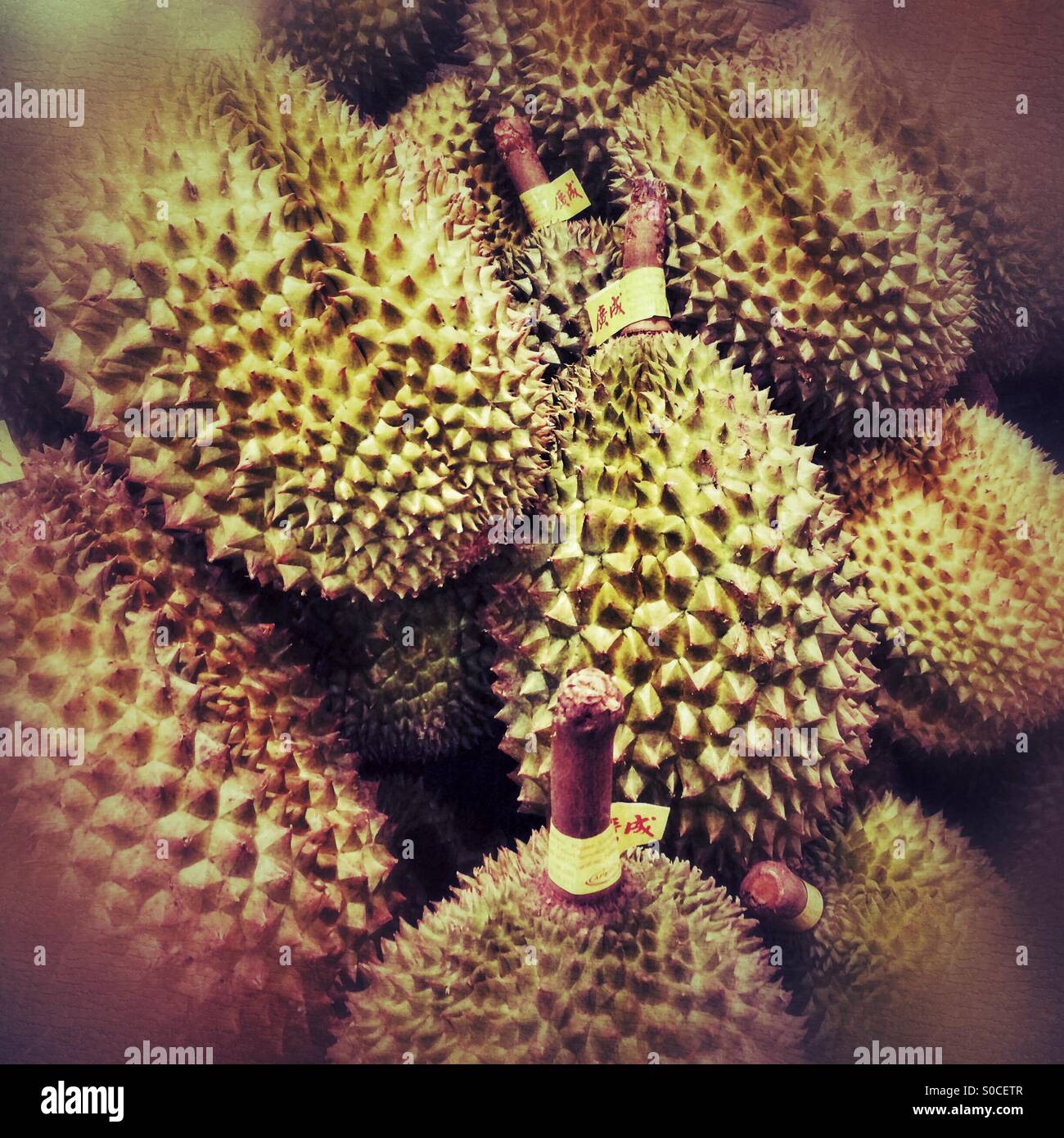 Durian fruit - Smartphone Captured Stock Image