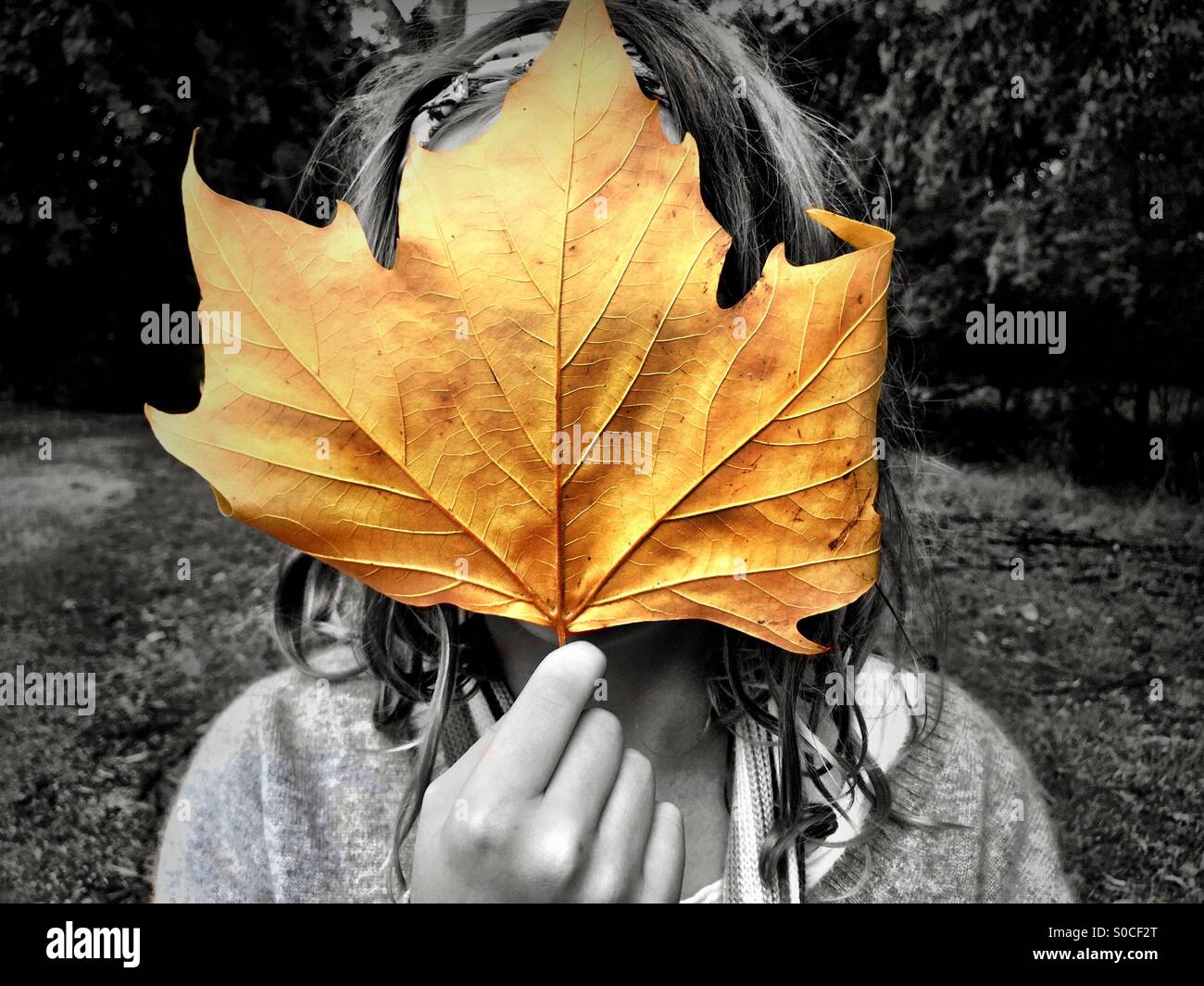 Holding leaves in front of face hi-res stock photography and images - Alamy