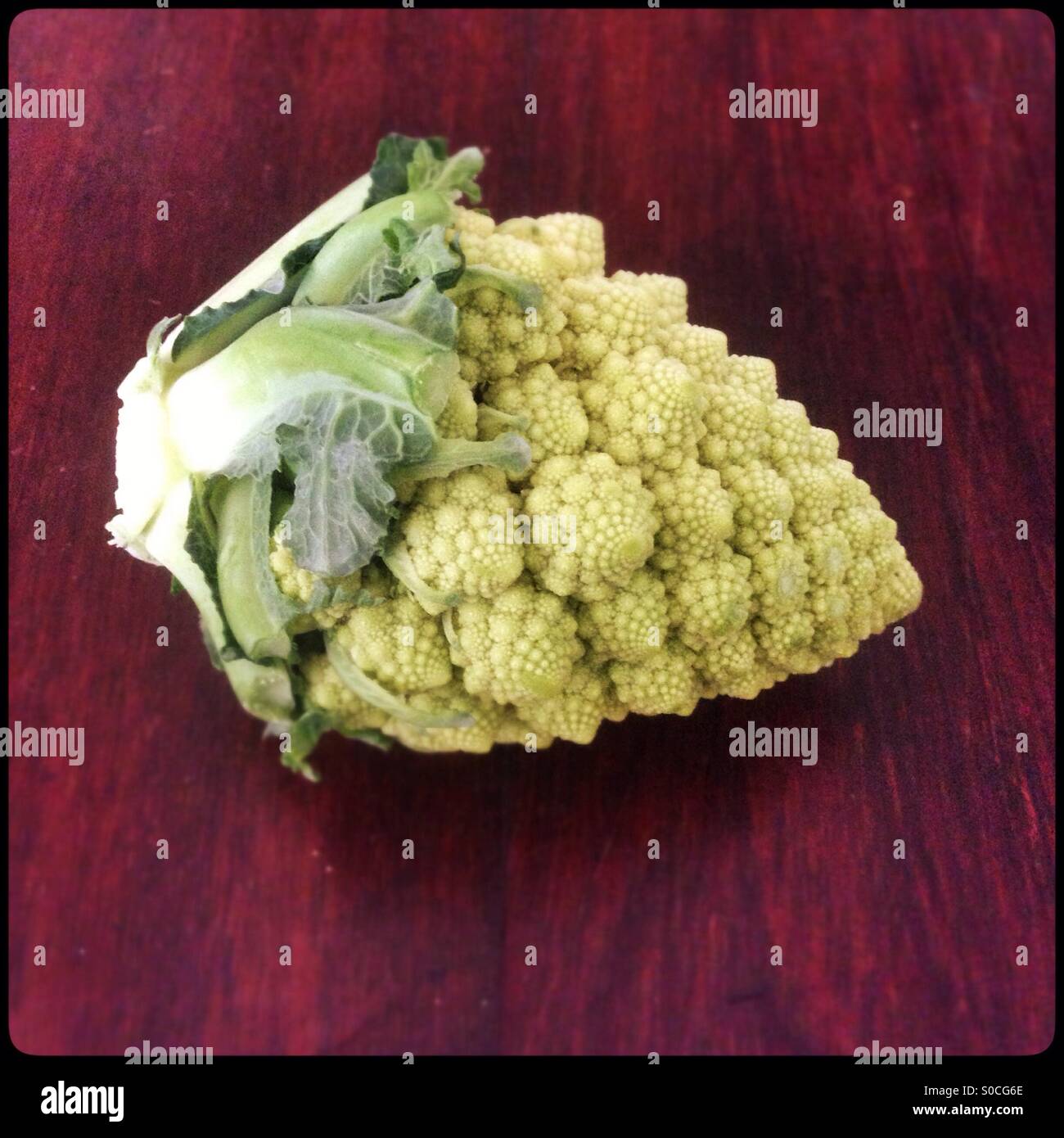 romanesco broccoli - Smartphone Captured Stock Image