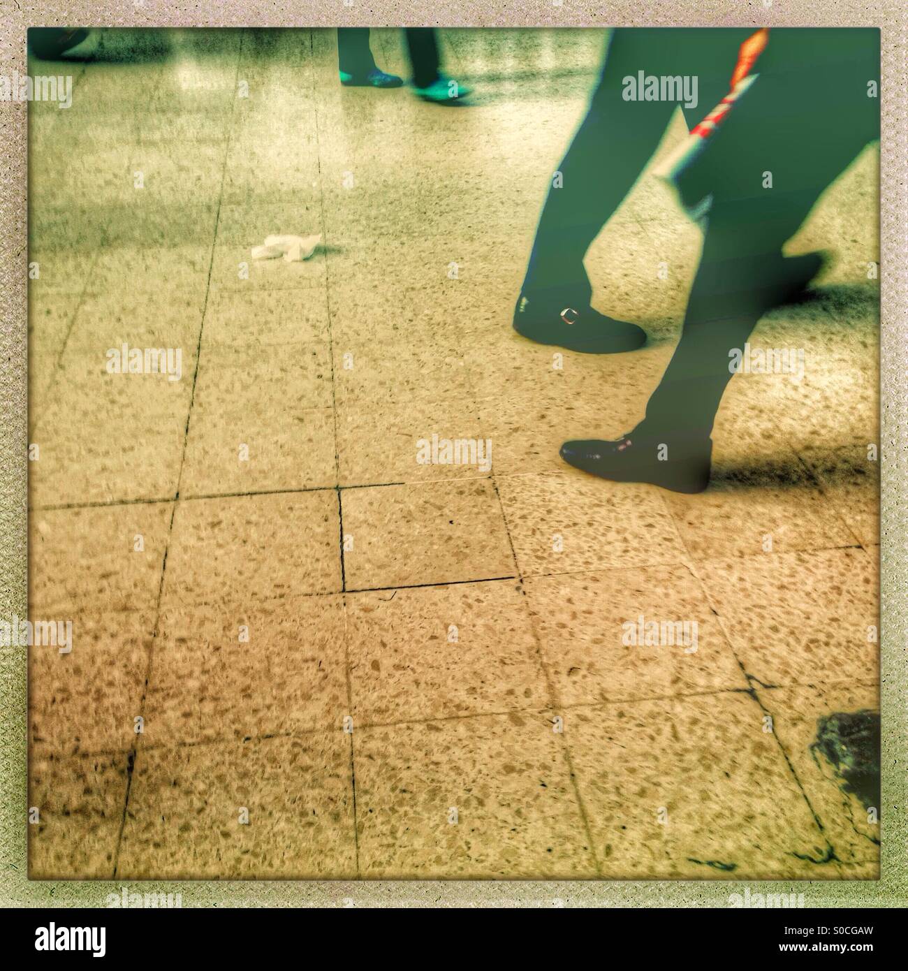 Ground tissue hires stock photography and images Alamy