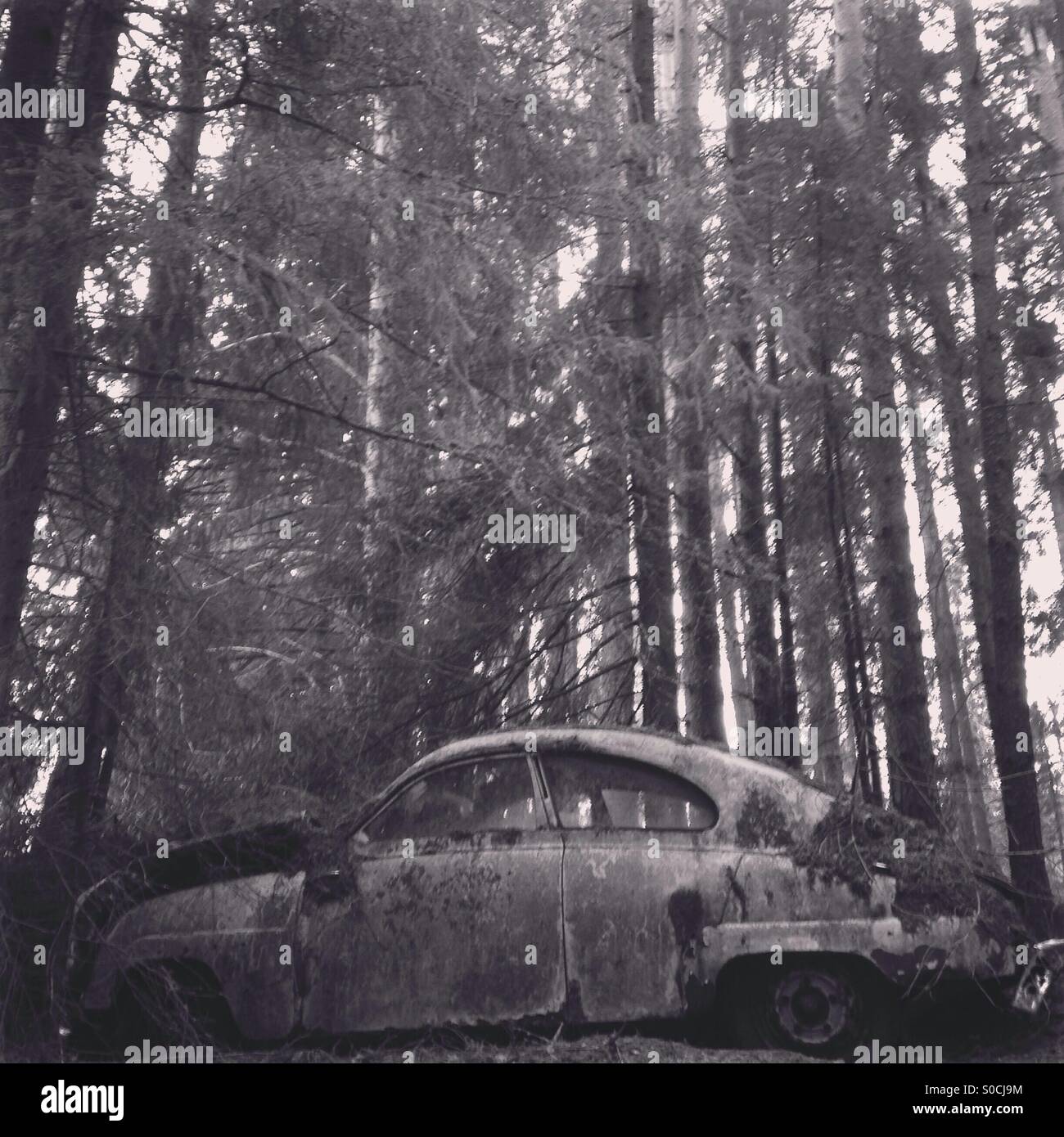 Abandoned car in forest hi-res stock photography and images - Alamy