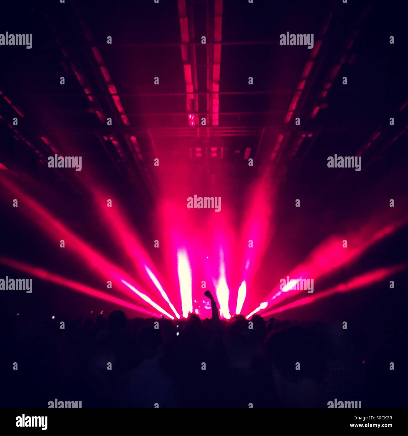 Pink laser light show at a music concert Stock Photo