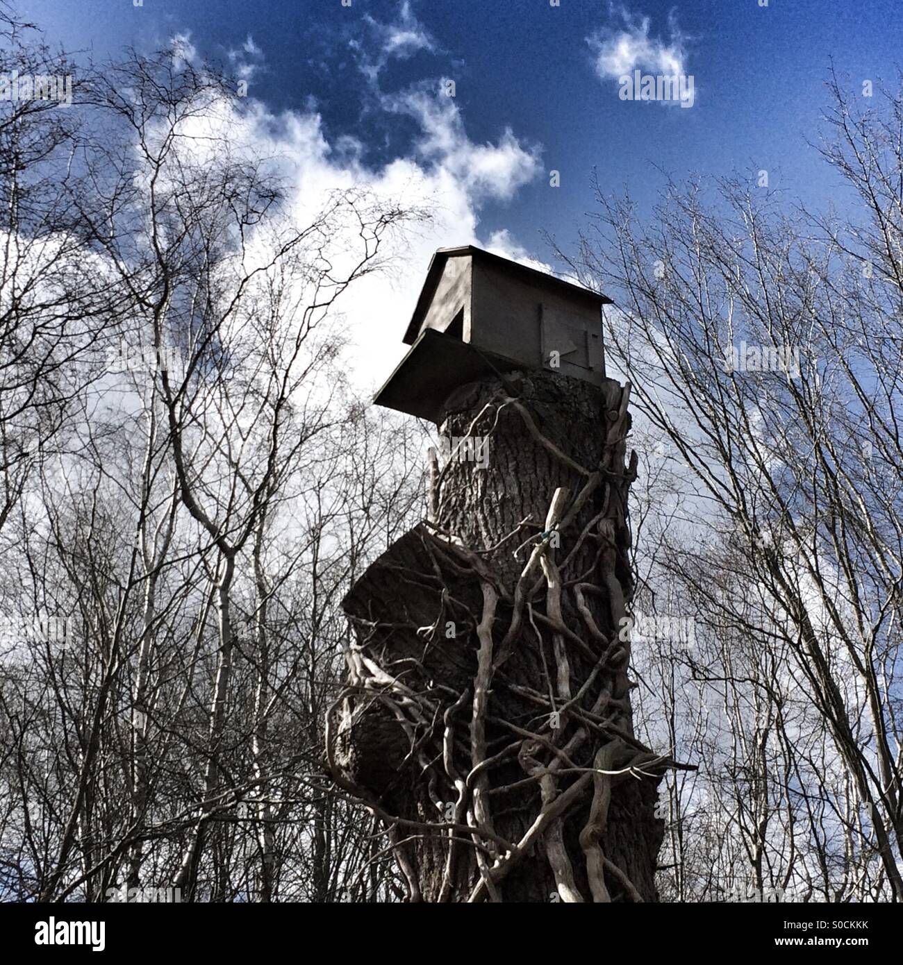 Owl house - Smartphone Captured Stock Image