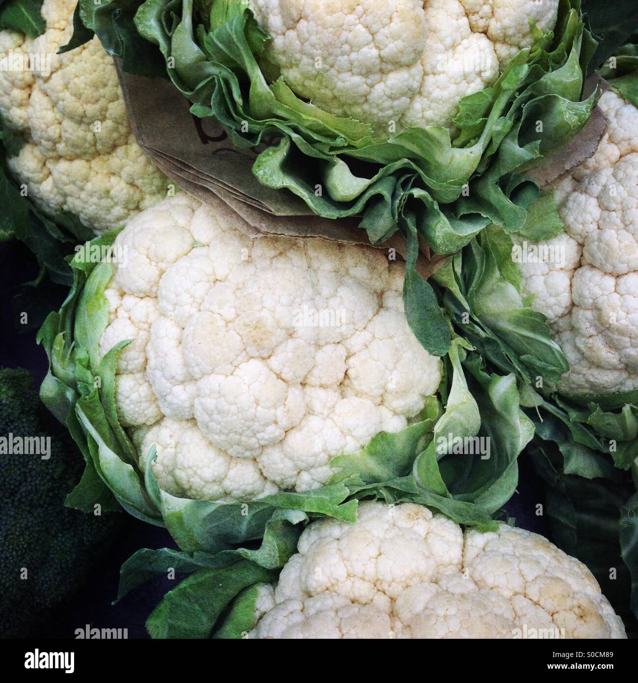 Cauliflowers Stock Photo
