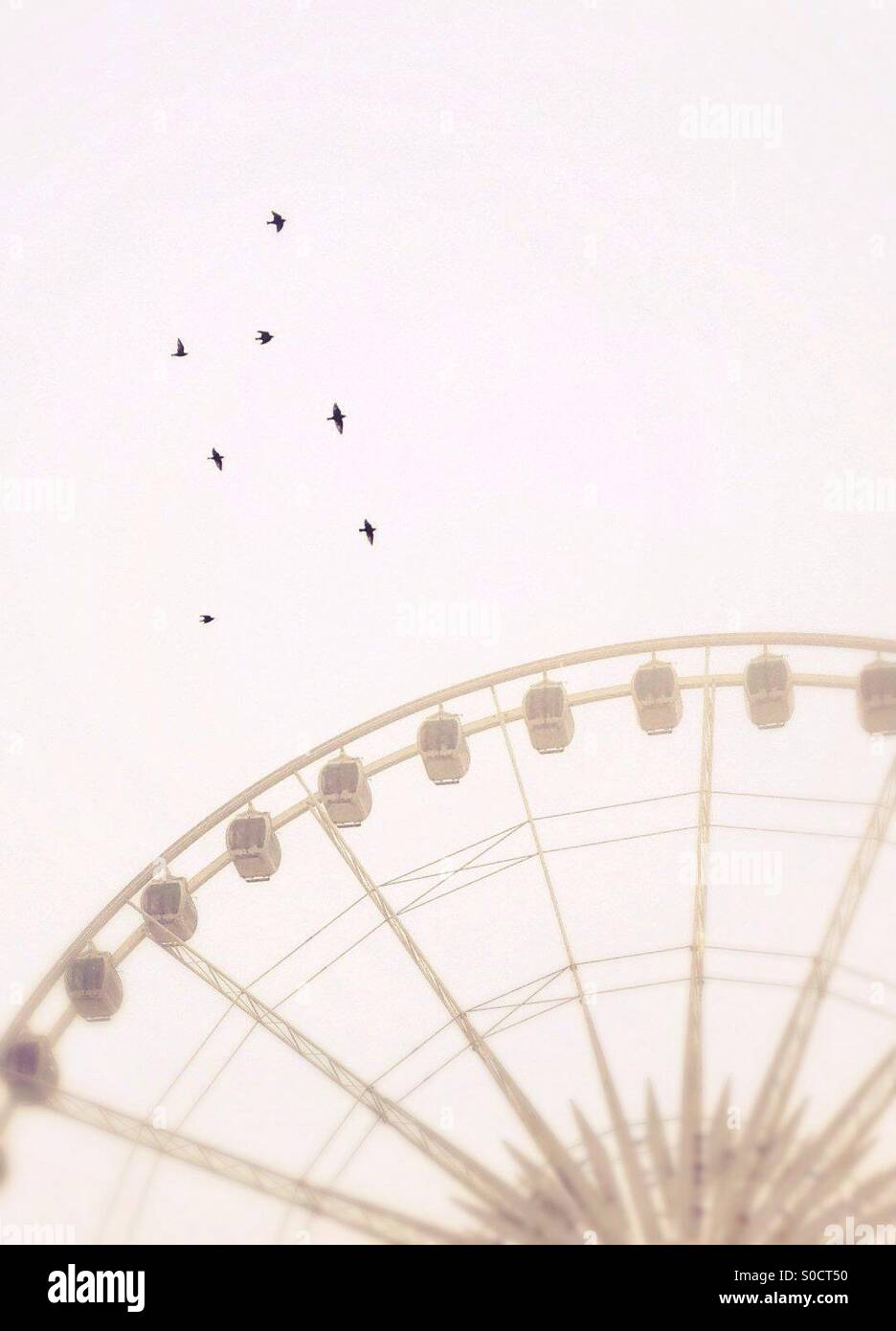 Birds flying past big wheel in Liverpool in mist - Smartphone Captured Stock Image