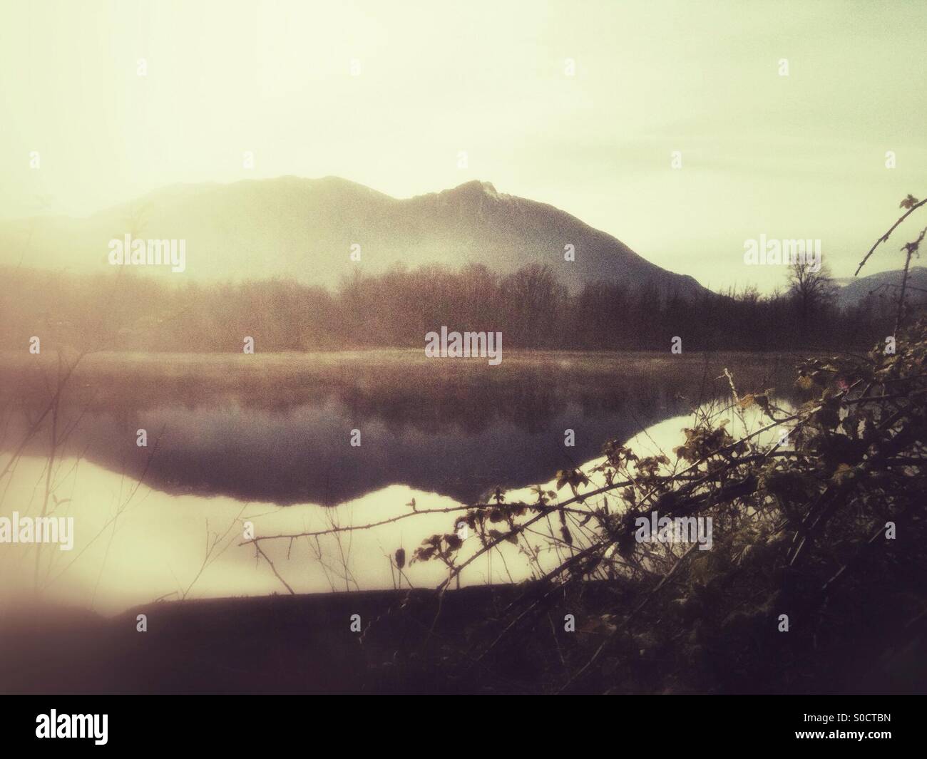 Early morning on a lake - Smartphone Captured Stock Image