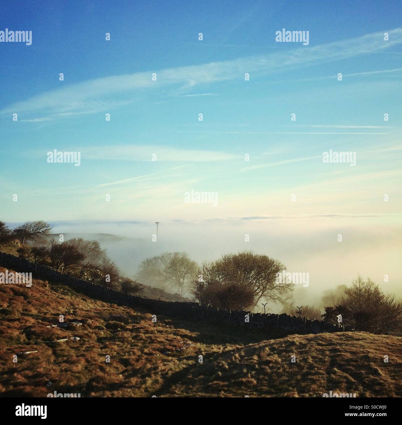 A misty morning on the Great Orme, Llandudno, Wales - Smartphone Captured Stock Image