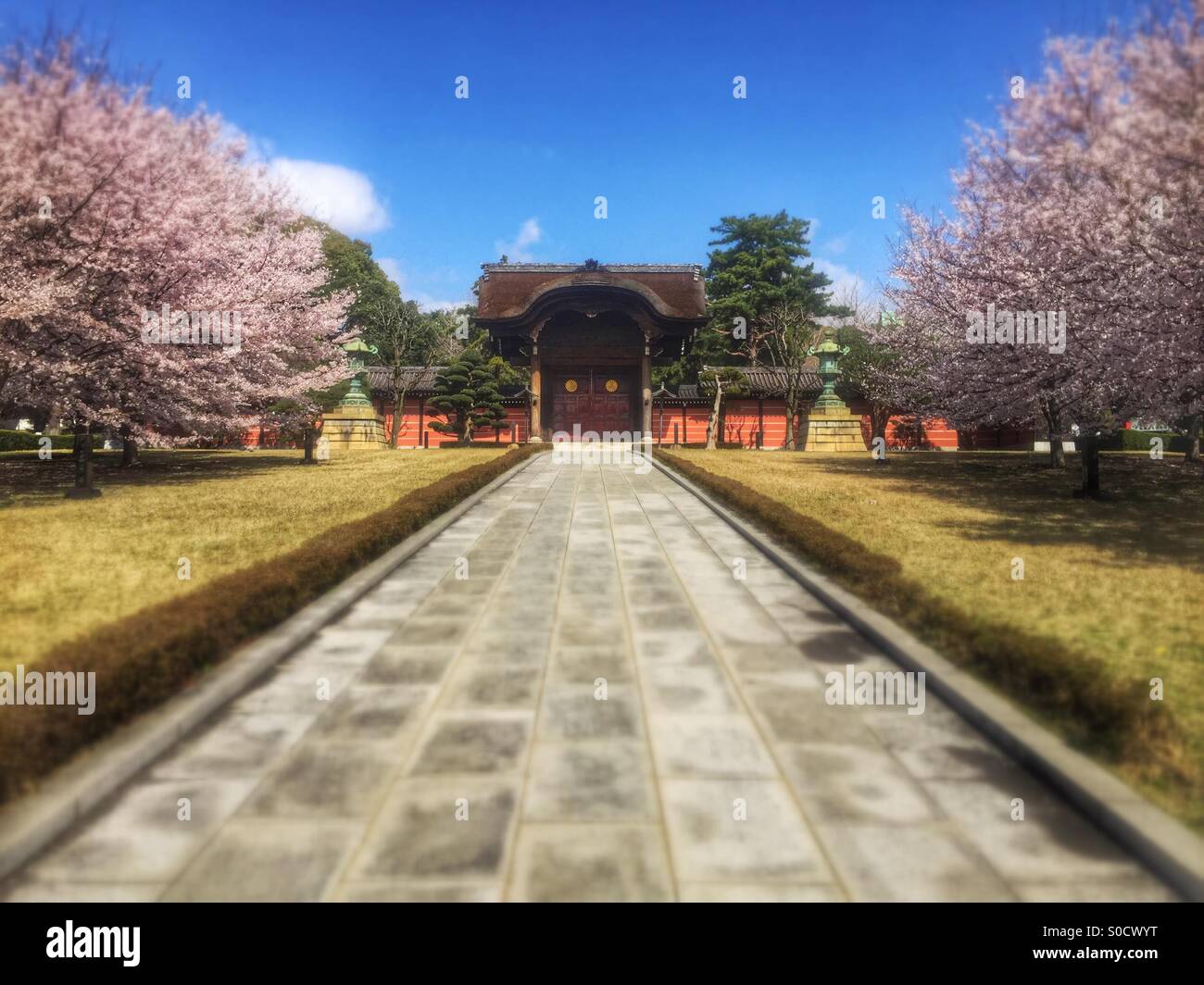 Karamon or traditional gate at Soji-ji, a Buddhist temple in Tsurumi Ward, Yokohama City, Japan, with sakura or cherry blossoms in Spring. Stock Photo