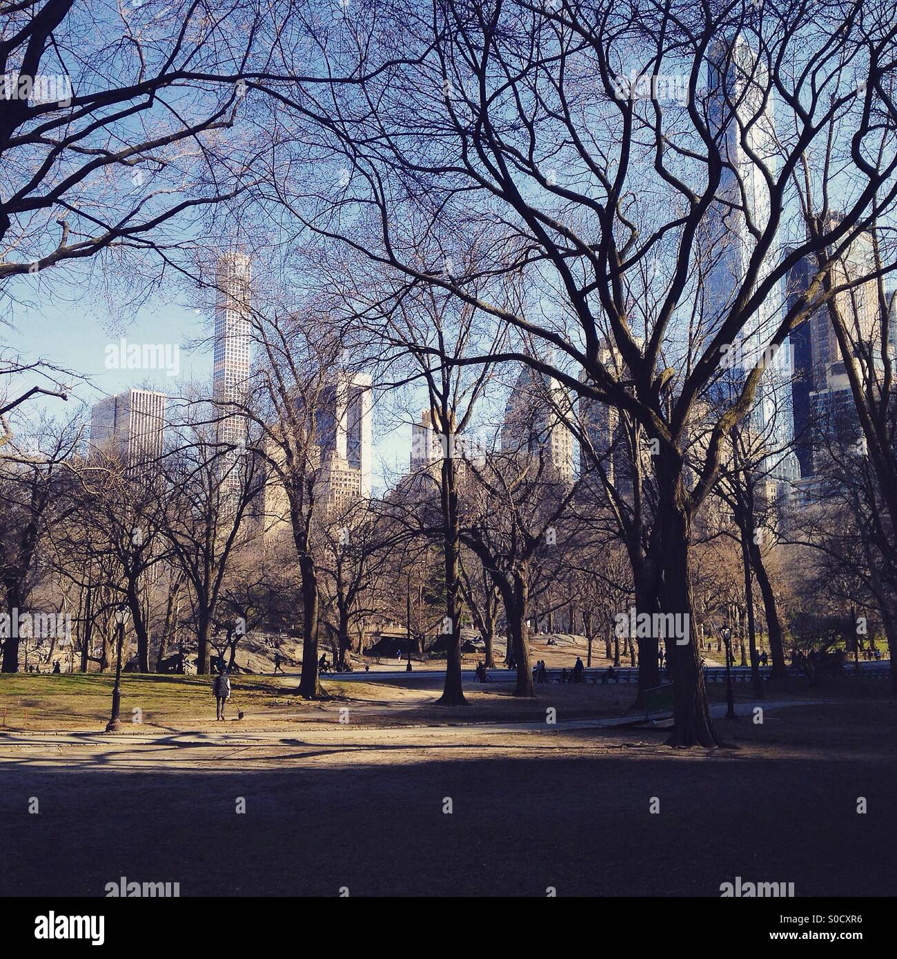 Urban park nature hi-res stock photography and images - Alamy