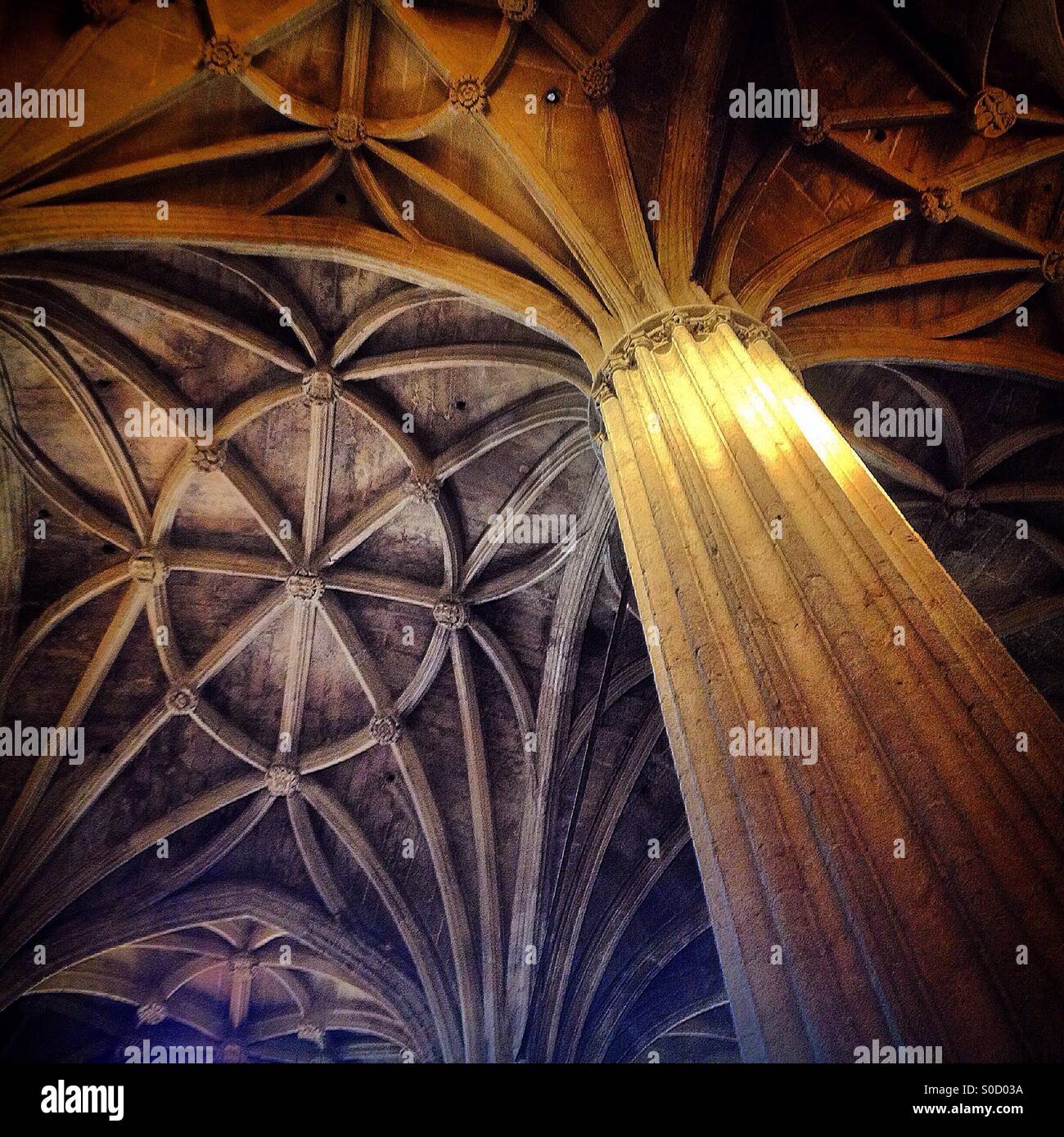 The ceiling and a column in Santa Maria Basilica, Arcos de la Frontera, Sierra de Cadiz, Andalusia, Spain Stock Photo