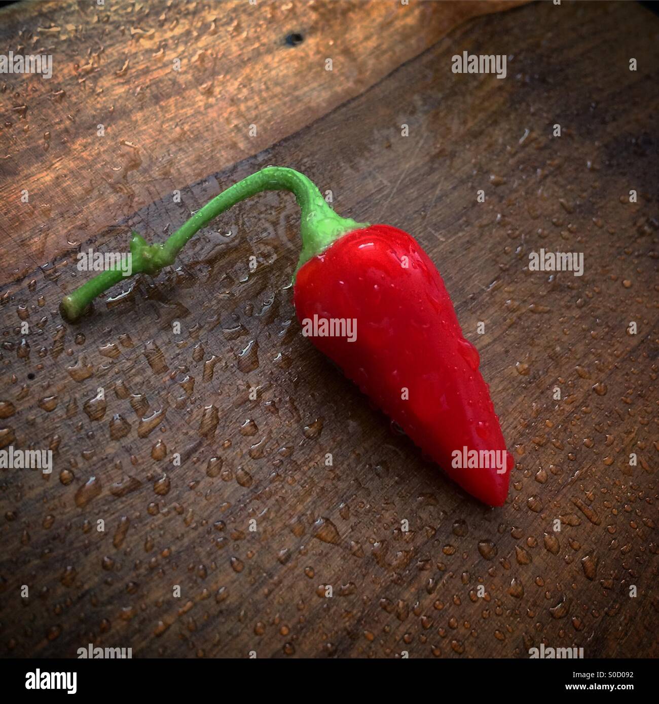 Pepper and wood Stock Photo Alamy