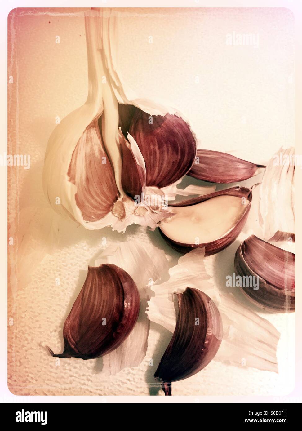 Garlic bulb and cloves - Smartphone Captured Stock Image