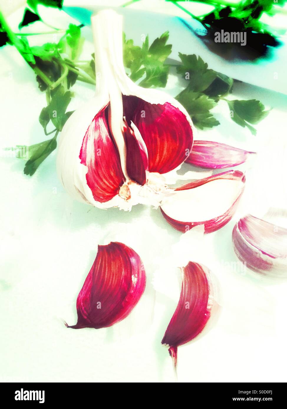 Garlic bulb - Smartphone Captured Stock Image