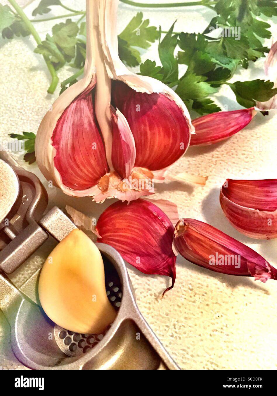 Garlic and press - Smartphone Captured Stock Image