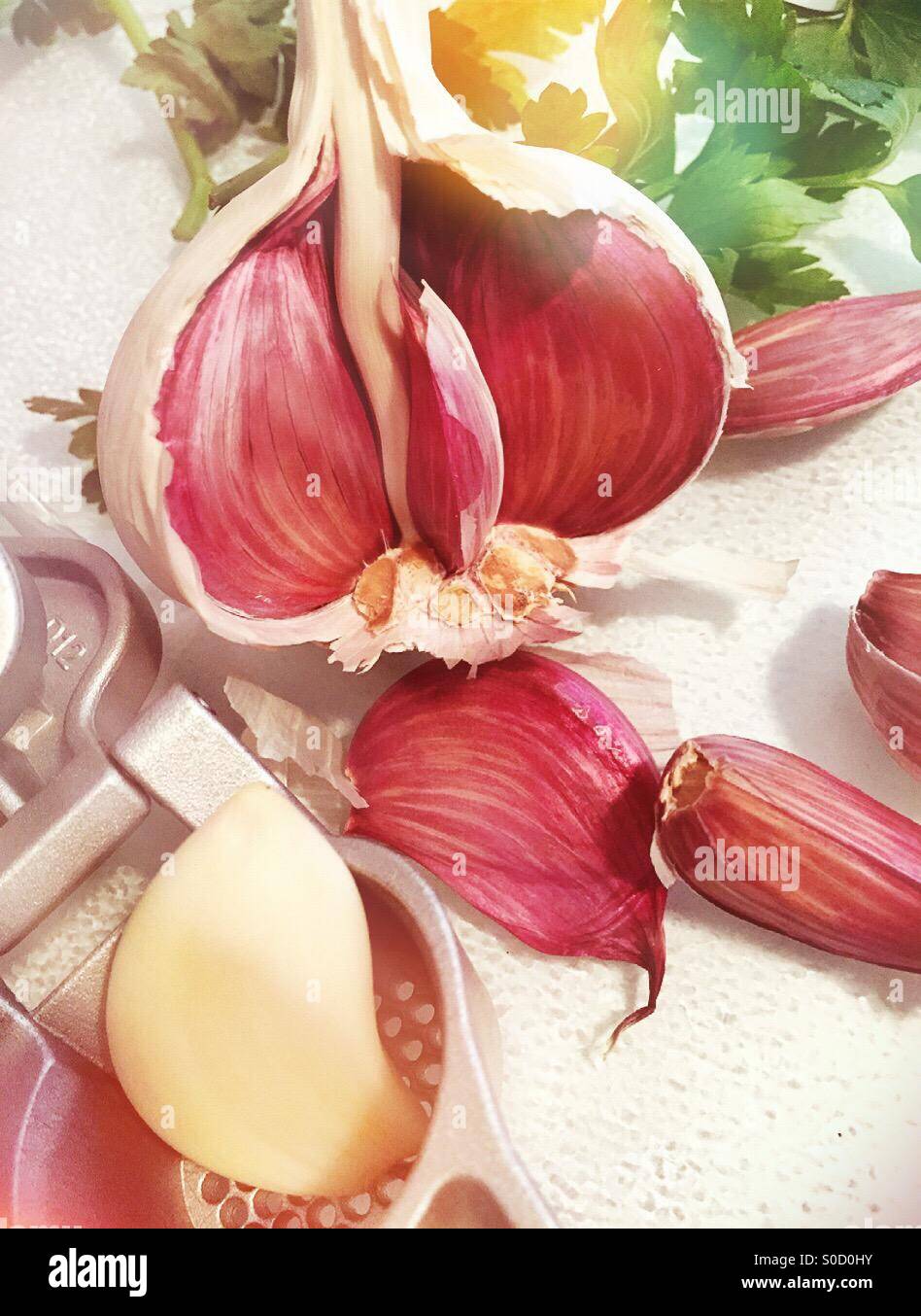 Garlic and garlic press - Smartphone Captured Stock Image