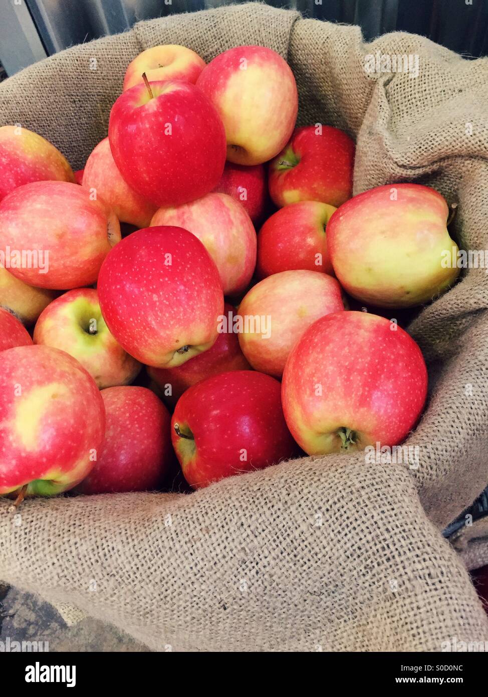 https://c8.alamy.com/comp/S0D0NC/fresh-organic-pink-lady-apples-for-sale-in-a-farm-market-stall-S0D0NC.jpg