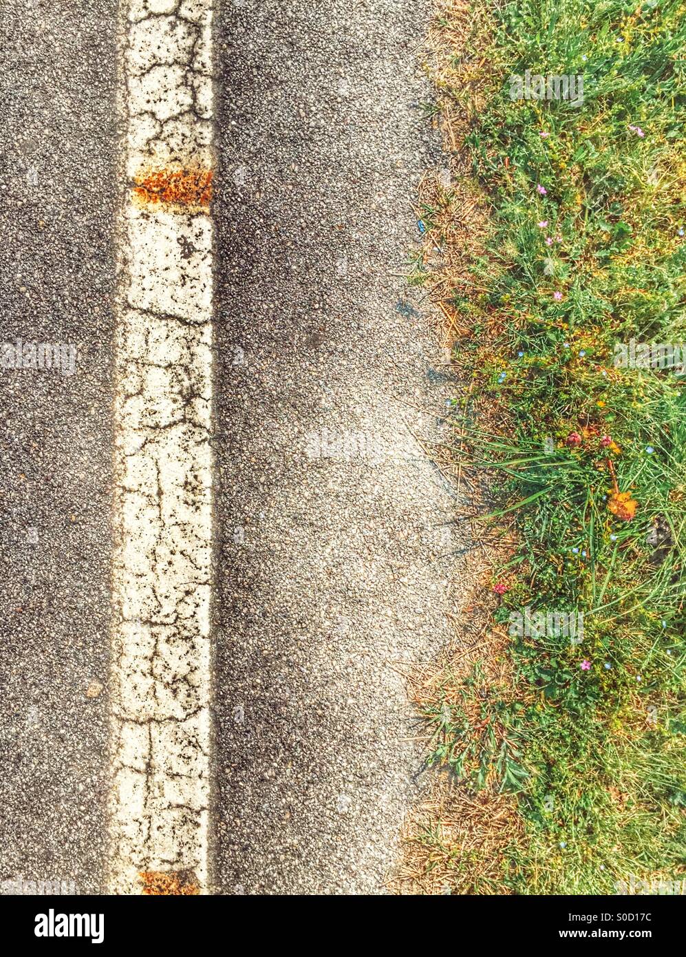 White strip on asphalt near the spring grass - Smartphone Captured Stock Image