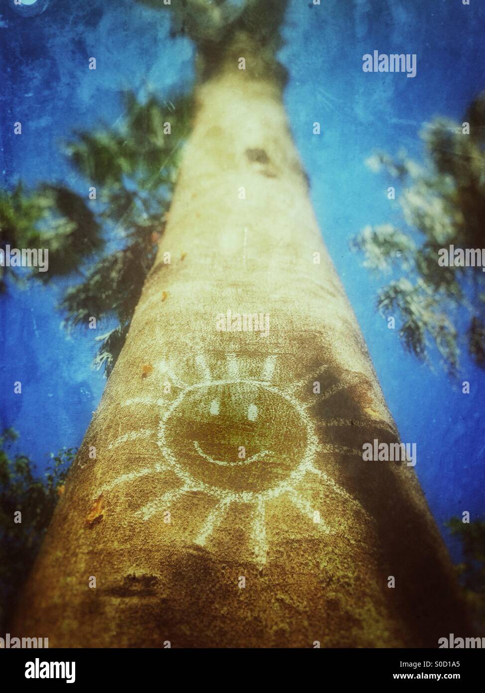 Sun painted on a tree trunk. - Smartphone Captured Stock Image