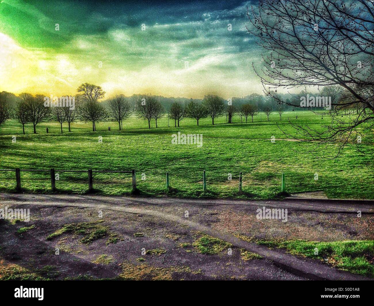 Peckham Rye in the morning Stock Photo - Alamy