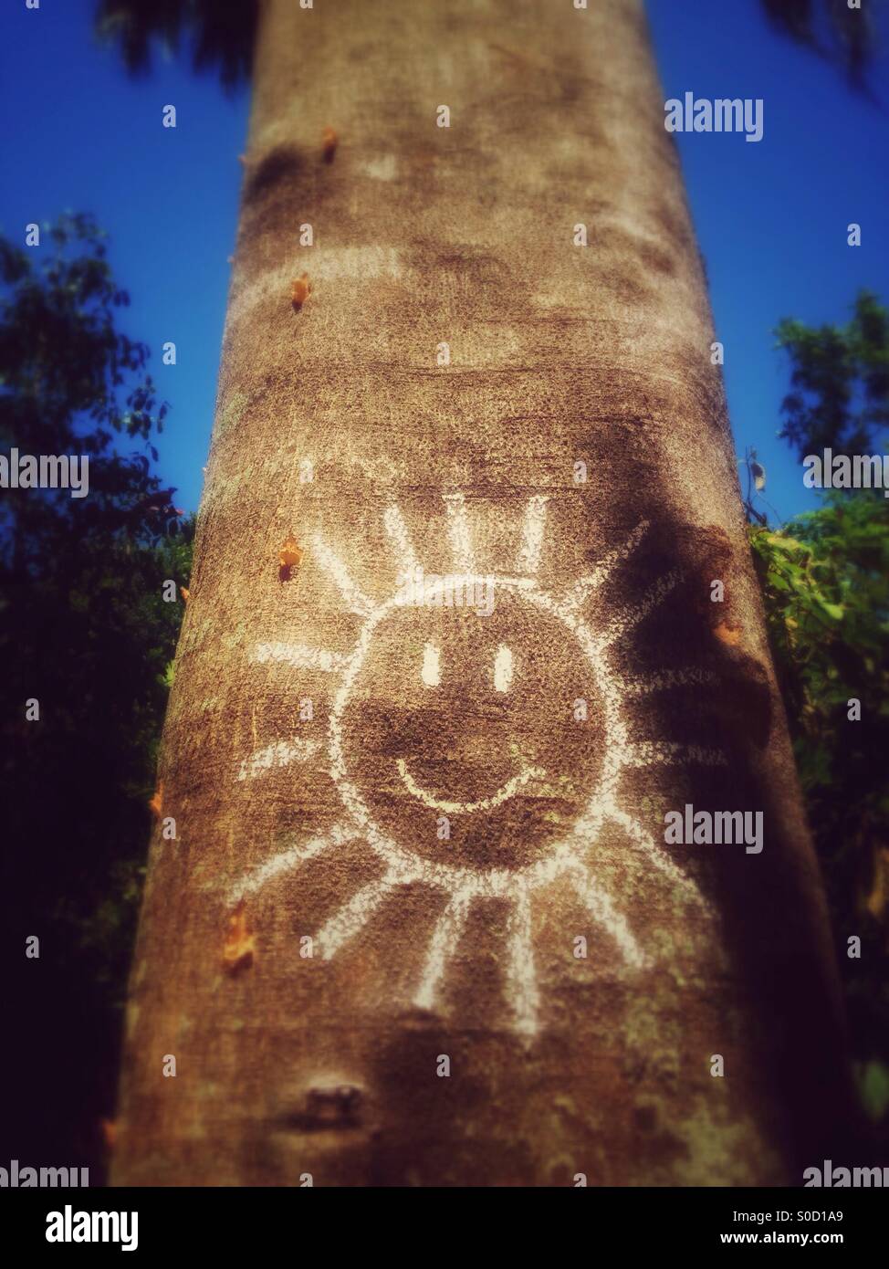 Sun drawn on a tree. - Smartphone Captured Stock Image