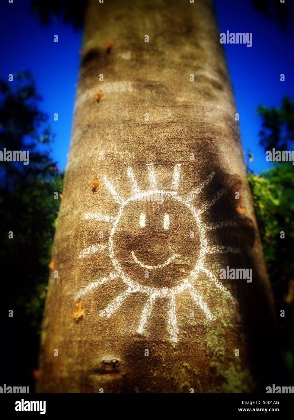 Graffiti of a sun on a tree. - Smartphone Captured Stock Image