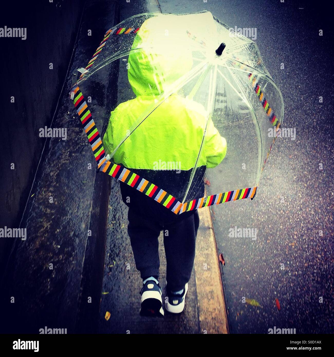 Little boy walking under the rain with his transparent umbrella Stock