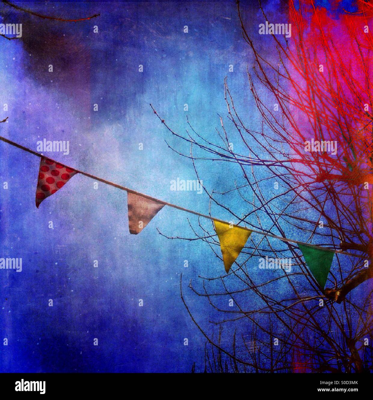 Bunting in a tree Stock Photo Alamy