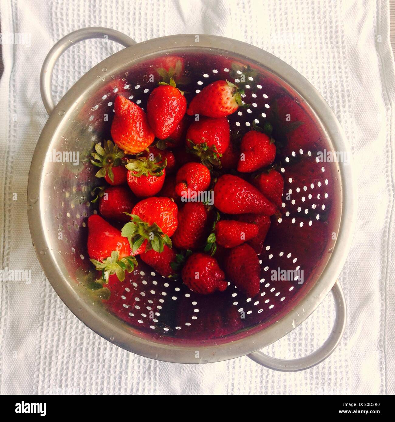 Spring strawberry hi-res stock photography and images - Alamy