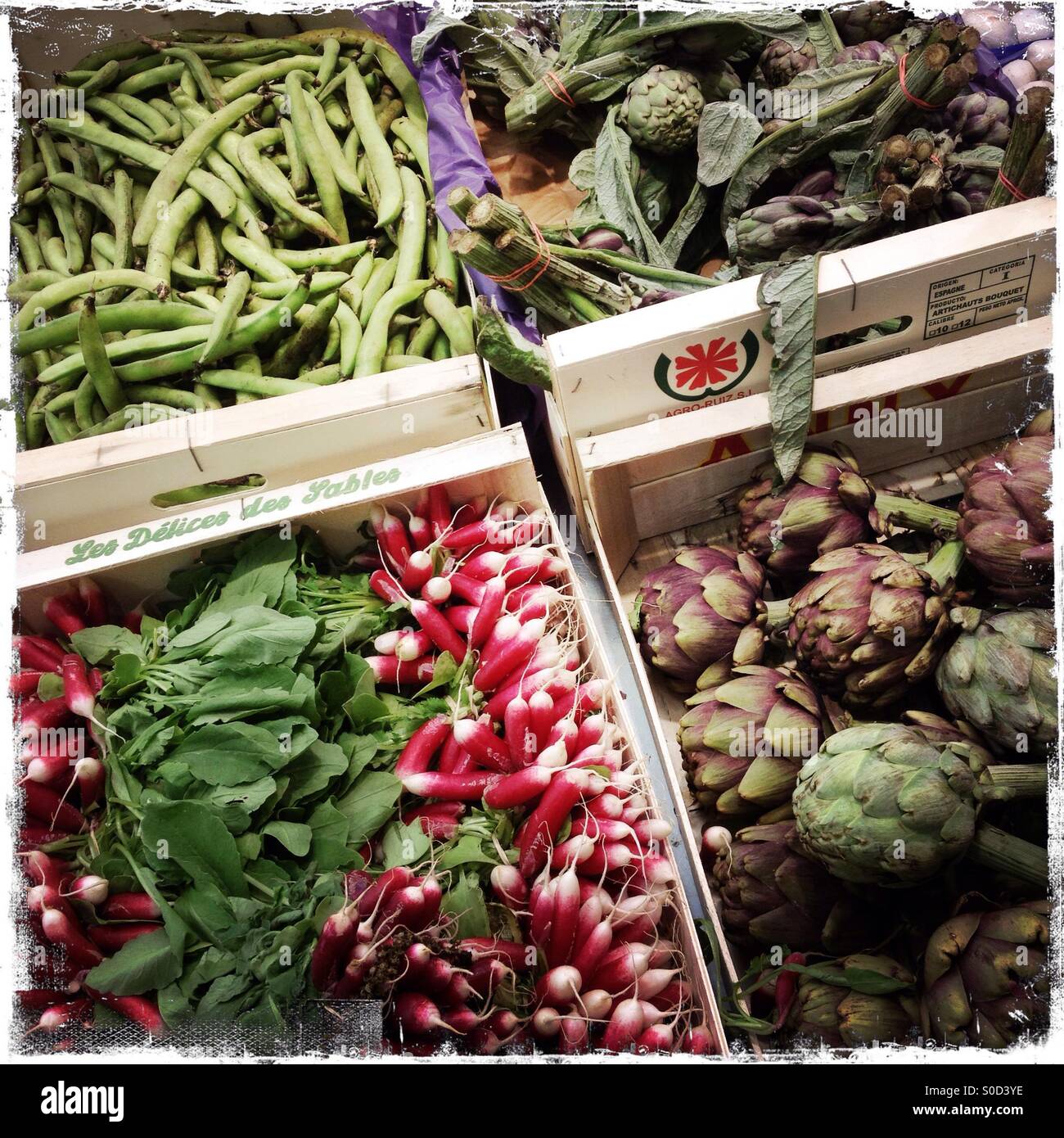 Selection of vegetables in a supermarket. - Smartphone Captured Stock Image