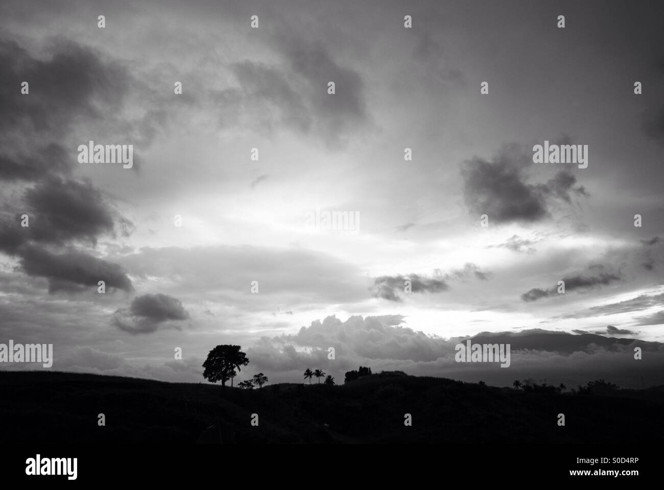 Sunset in black and white. Silhouette. Stock Photo