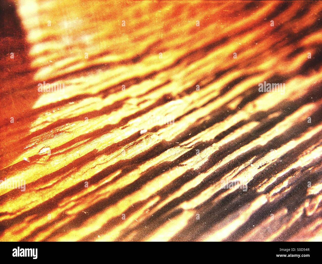 Close up of tree bark - Smartphone Captured Stock Image