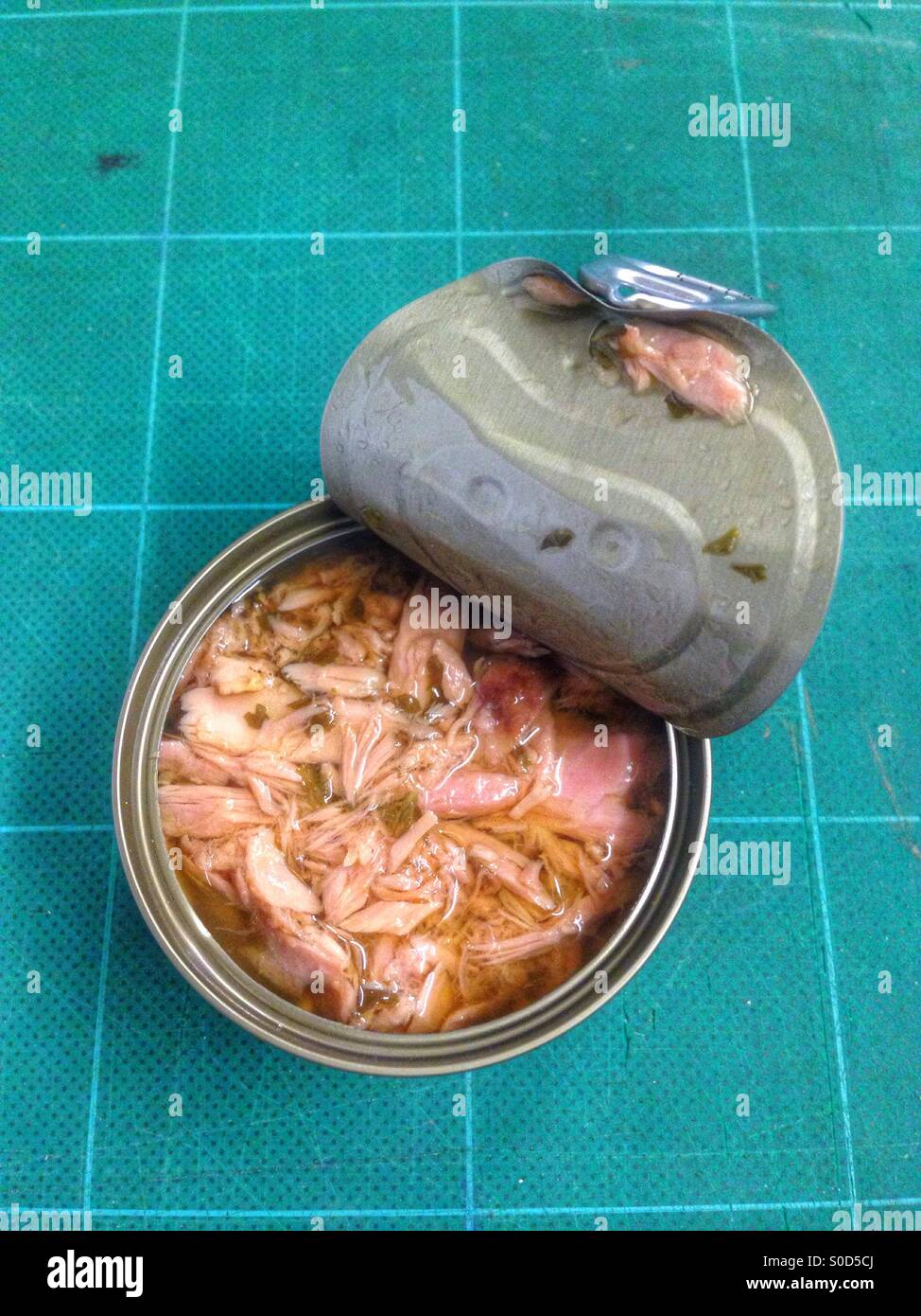 Opened tin of tuna in spicy vinaigrette. - Smartphone Captured Stock Image