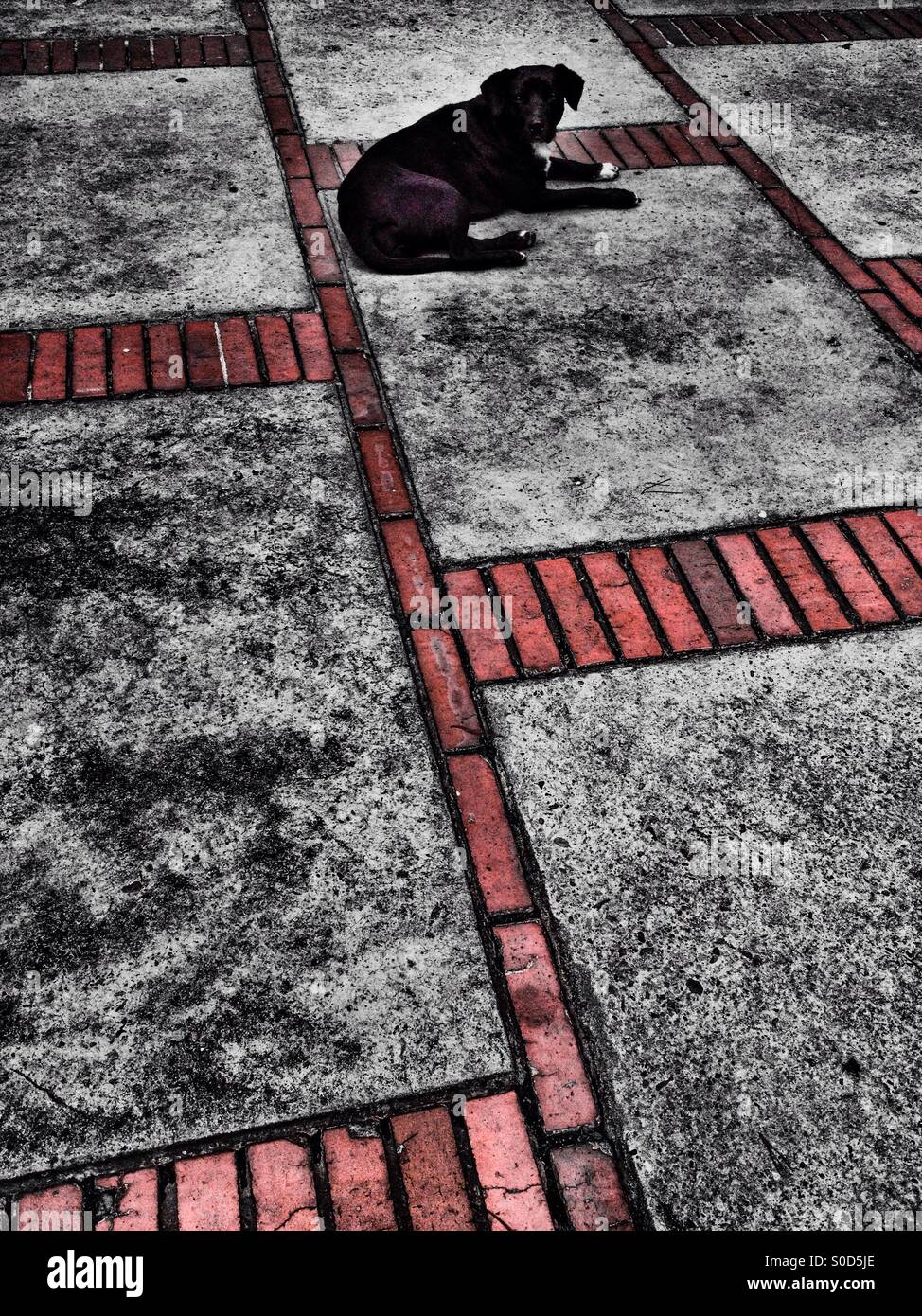 Servita, usaquen, bogota, cundinamarca, Colombia, South america - Smartphone Captured Stock Image