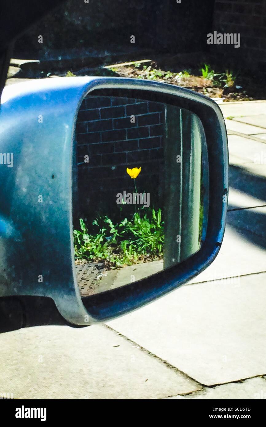 Reflection of a flower in a wing mirror - Smartphone Captured Stock Image
