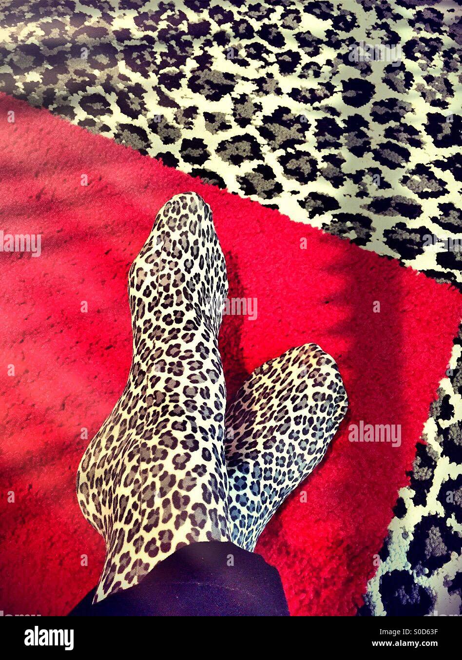Lady's leopard print socks on leopard print carpet - Smartphone Captured Stock Image
