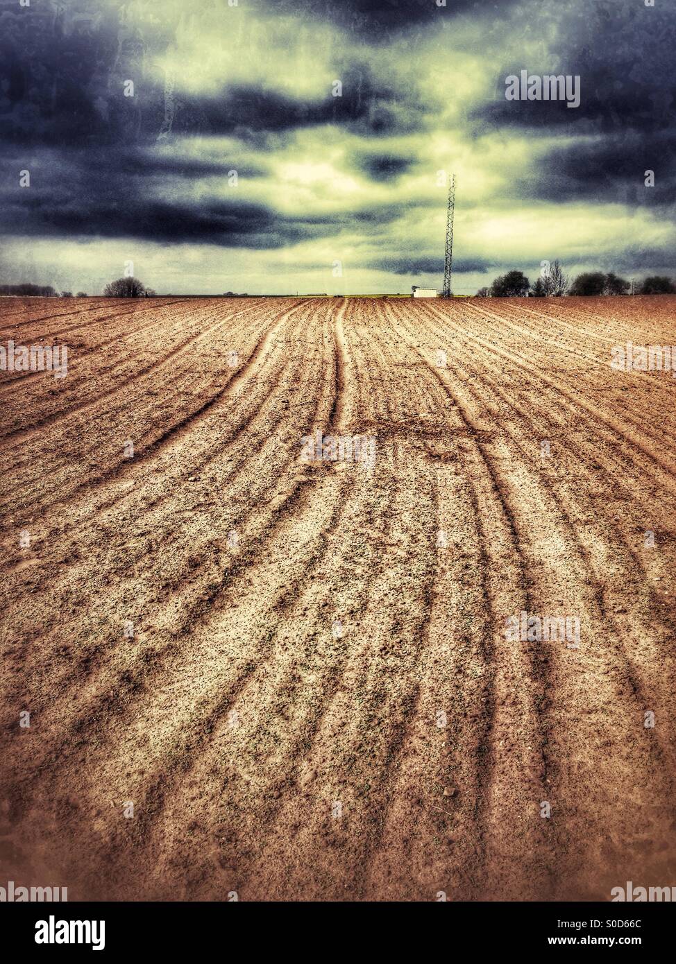 Ploughed field. Ancaster, Lincolnshire, England. - Smartphone Captured Stock Image
