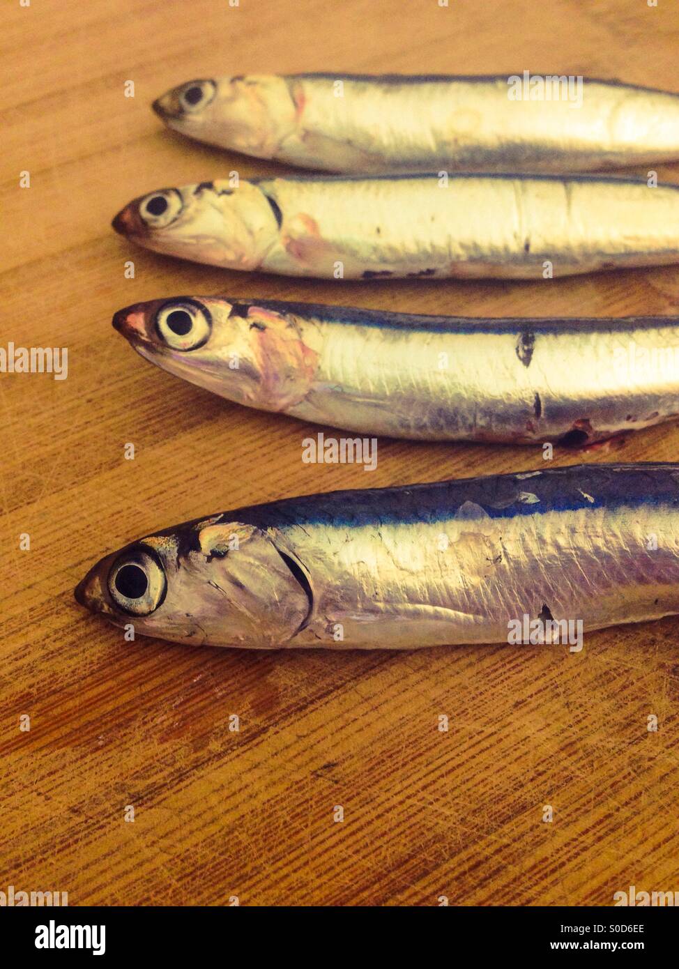 Anchovies fish on wooden board Stock Photo