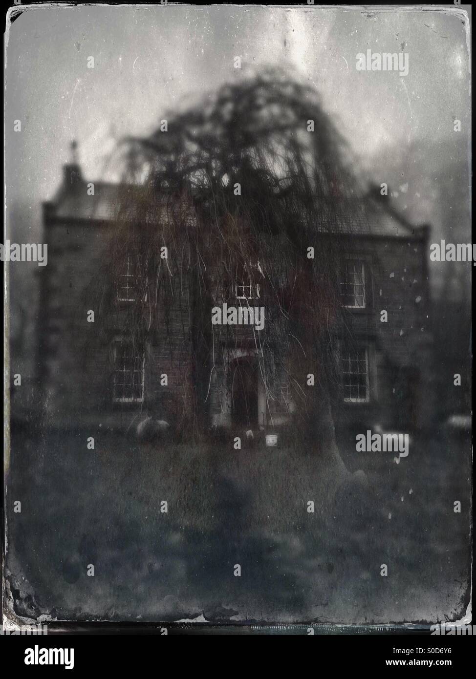 A old moorland house with tree - Smartphone Captured Stock Image