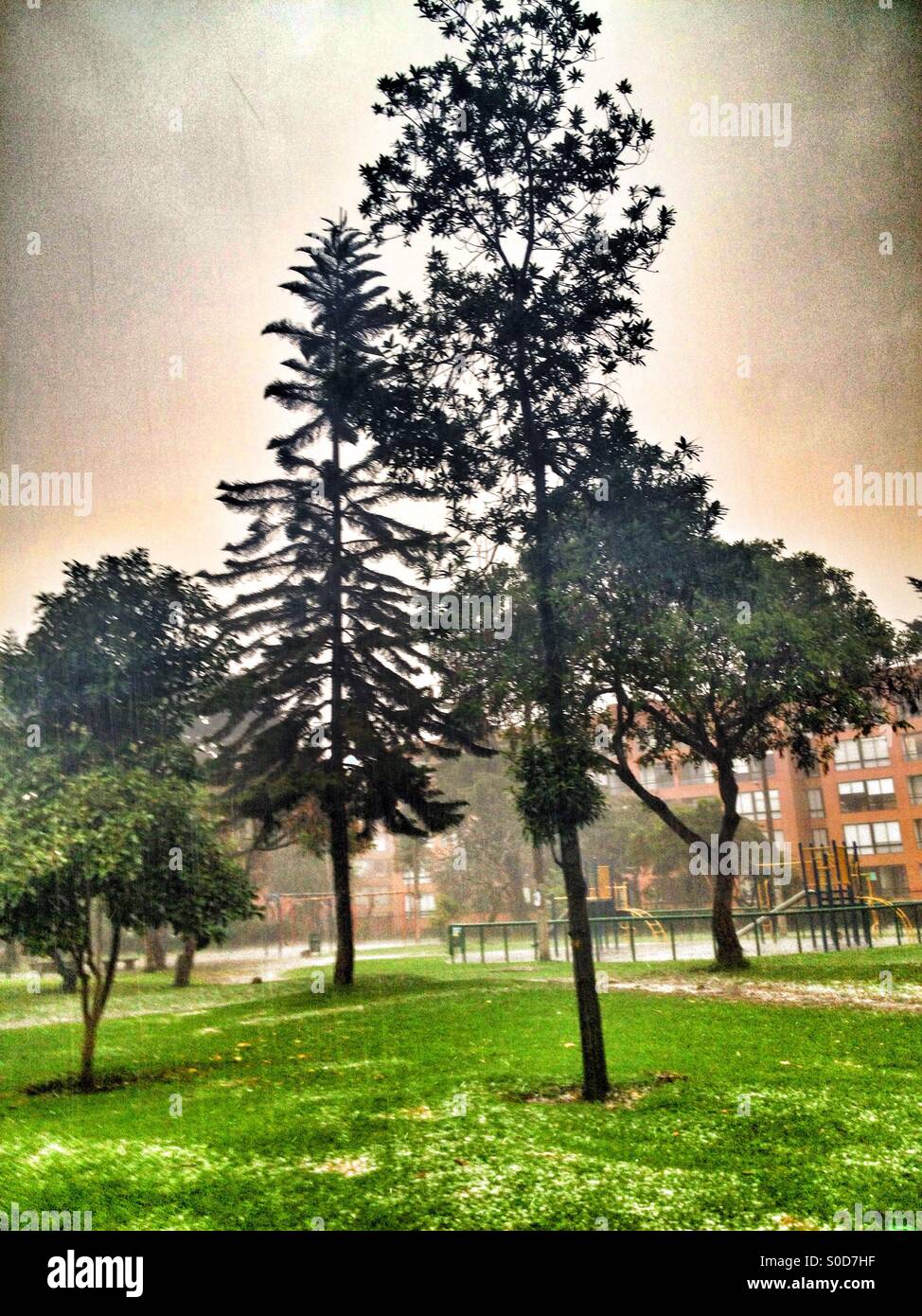 Suba, bogota, cundinamarca, Colombia, South america - Smartphone Captured Stock Image