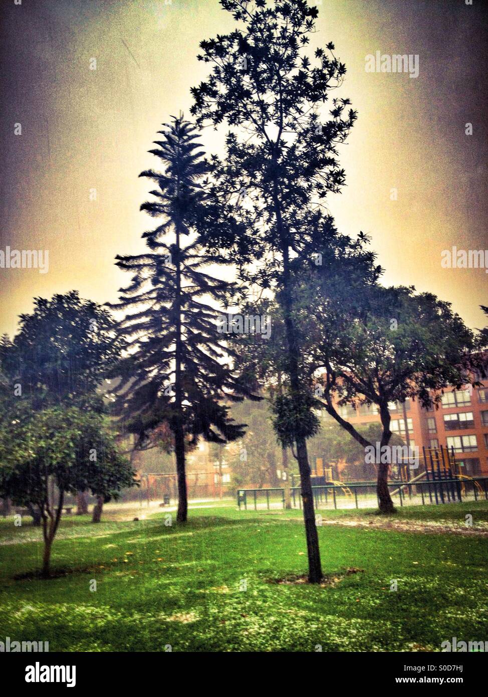 Suba, bogota, cundinamarca, Colombia, South america - Smartphone Captured Stock Image