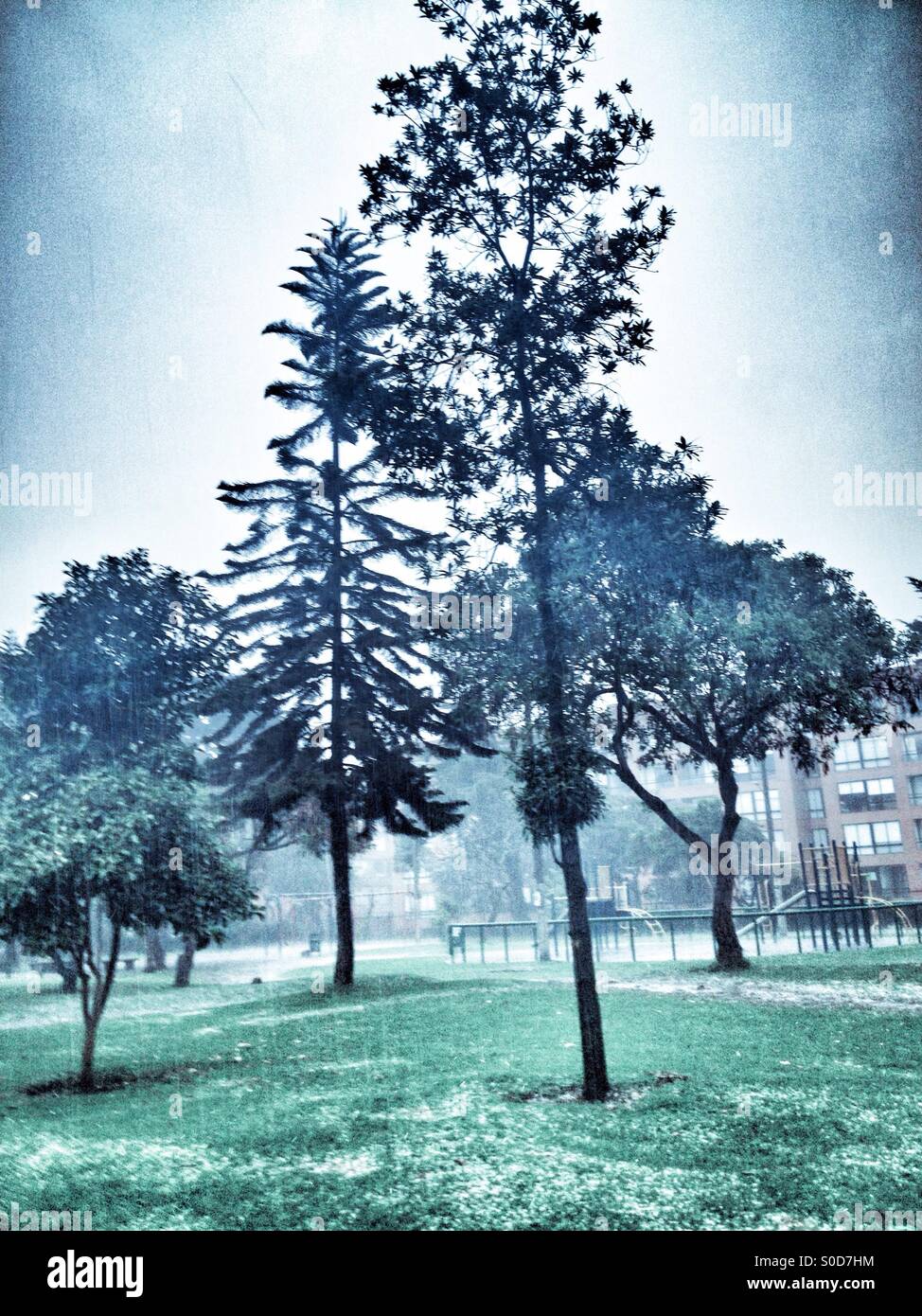 Suba, bogota, cundinamarca, Colombia, South america - Smartphone Captured Stock Image