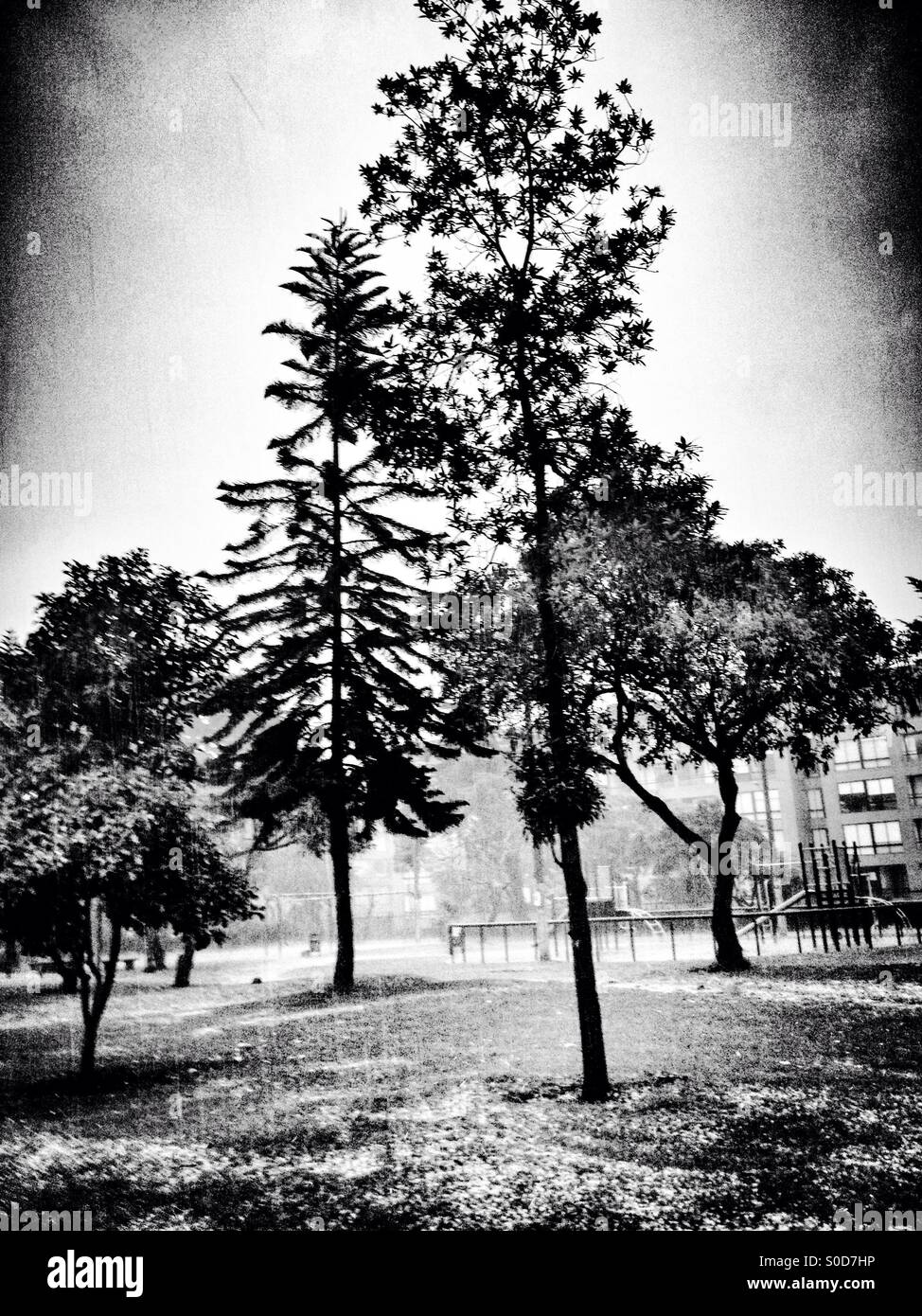 Suba, bogota, cundinamarca, Colombia, South america - Smartphone Captured Stock Image